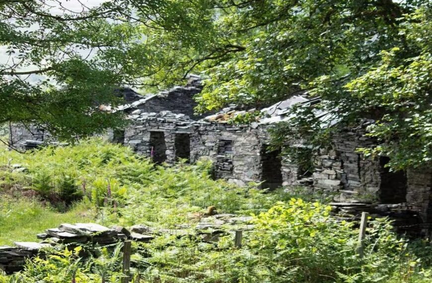 100 सालों तक छिपा था पूरा गांव, घरों की दीवार फाड़ उगे थे पेड़, कभी रहते थे 2 हजार लोग...