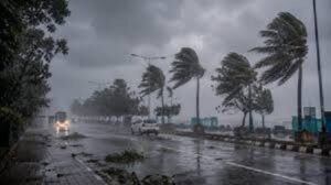 मानसून ने पकड़ी रफ्तार: कई जिलों में बारिश और तेज हवाओं का अलर्ट, छत्तीसगढ़ में आधे ज्यादा हिस्से में हुआ सक्रिय…