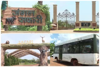 छत्तीसगढ़ में जंगल सफारी पर रोक… प्रदेश के सभी टाइगर रिजर्व और अभ्यारण्य एक अक्टूबर तक रहेंगे बंद