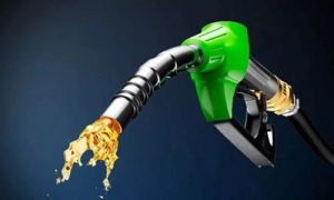 Petrol-Diesel Price Today: कच्चे तेल में तेजी से बढ़ी टेंशन, जानें 20 अगस्त को आपके शहर में पेट्रोल-डीजल के ताजा रेट…