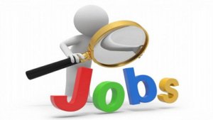 Job Vacancy 2026: जिला समन्वयक के पदों पर भर्ती, 8 सितंबर तक करें आवेदन; जानें जिलों की पूरी लिस्ट…