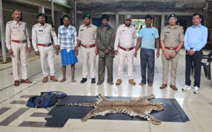 वन विभाग की बड़ी कार्रवाई : 3 आरोपियों के कब्जे से तेंदुए की खाल जब्त…