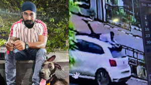 CG- लव ट्रायंगल में दिनदहाड़े खूनी खेल! चलती कार की छत पर चढ़ा युवक, गिरते ही कार से कुचला…