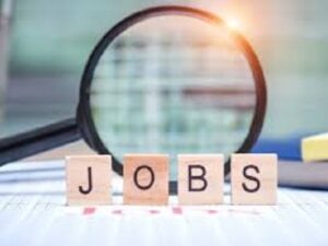 RVUNL Recruitment 2026: 12वीं पास से B.Tech तक के लिए सुनहरा मौका, 2005 सरकारी नौकरियां