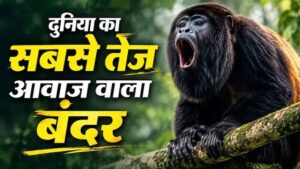 दुनिया का सबसे अनोखा बंदर, जिसकी आवाज मात्र से हिल जाता है जंगल, 5 KM दूर तक सुनाई देती है इनकी दहाड़!