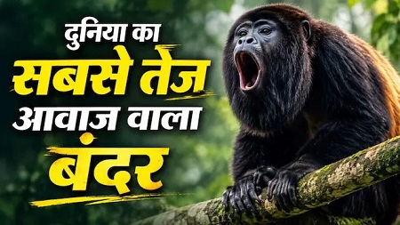 दुनिया का सबसे अनोखा बंदर, जिसकी आवाज मात्र से हिल जाता है जंगल, 5 KM दूर तक सुनाई देती है इनकी दहाड़!