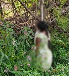 CG- अस्पताल से लापता हुई नवप्रसूता, मेन रोड के पास पेड़ से लटका मिला शव, जाने पूरा मामला…