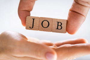 HCL Recruitment 2026: हिंदुस्तान कॉपर लिमिटेड में GM-DGM पदों पर भर्ती, सैलरी जबरदस्त; 8 अक्टूबर तक करें आवेदन, देखें डिटेल…