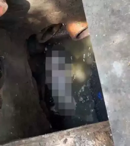 गटर की सफाई के दौरान मिला 2-3 दिन का नवजात, भिलाई के सेक्टर-2 में मचा हड़कंप; पुलिस जांच शुरू…