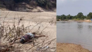 महानदी किनारे झाड़ियों में फंसे मिले दो शव, एक महिला का; बाढ़ के बाद आरंग पुलिस ने शुरू की जांच…
