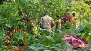 CG- तीन दिन से लापता 7 साल की बच्ची की मिली लाश, दुष्कर्म के बाद हत्या की आशंका, इलाके में मचा हड़कंप…