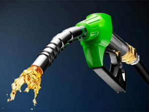 Petrol Diesel Price Today: कच्चे तेल में लगी आग, 113 डॉलर के पार पहुंचा भाव; क्या अब बढ़ेंगे पेट्रोल-डीजल के दाम? जानें आज के ताजा रेट…